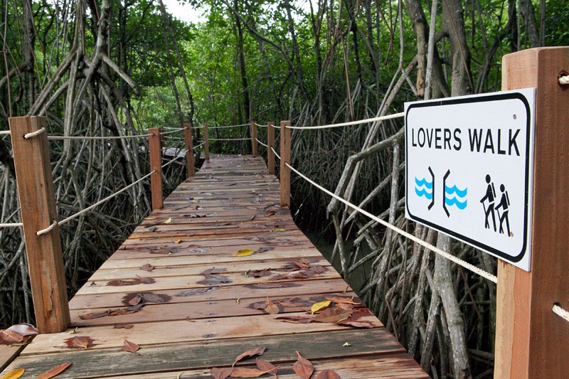 Summer Luxury Beach Resort & Spa